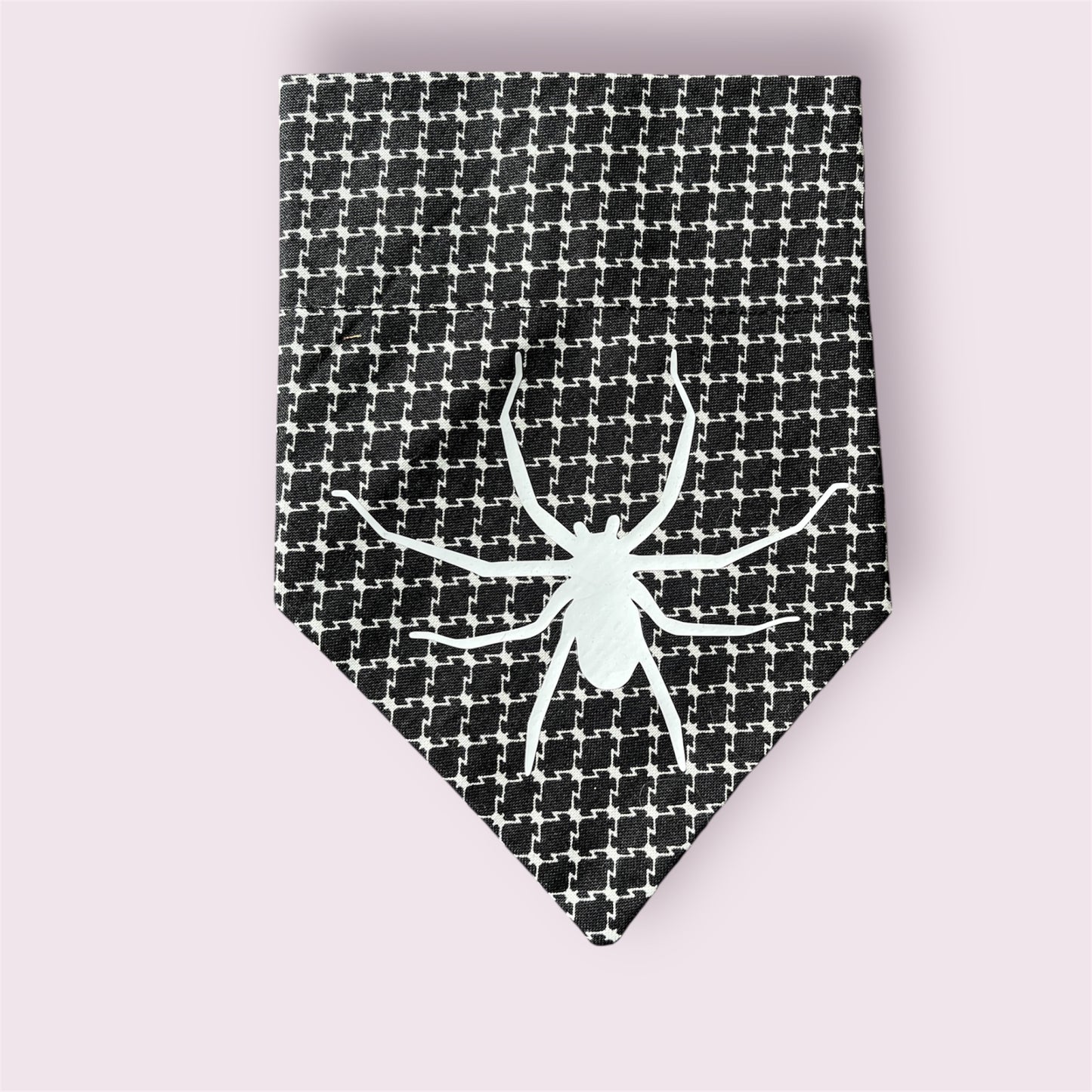 Spiders