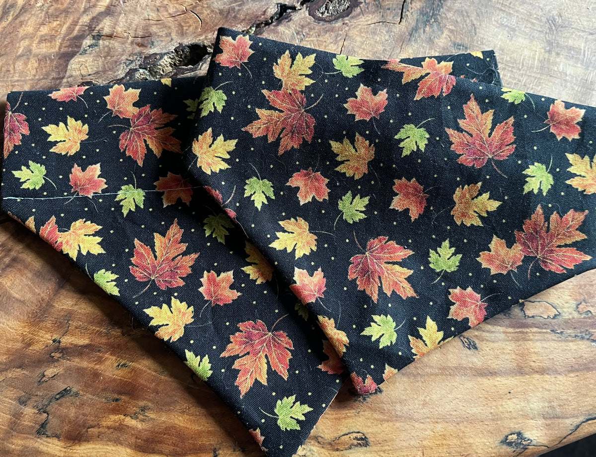 Autumn leaves