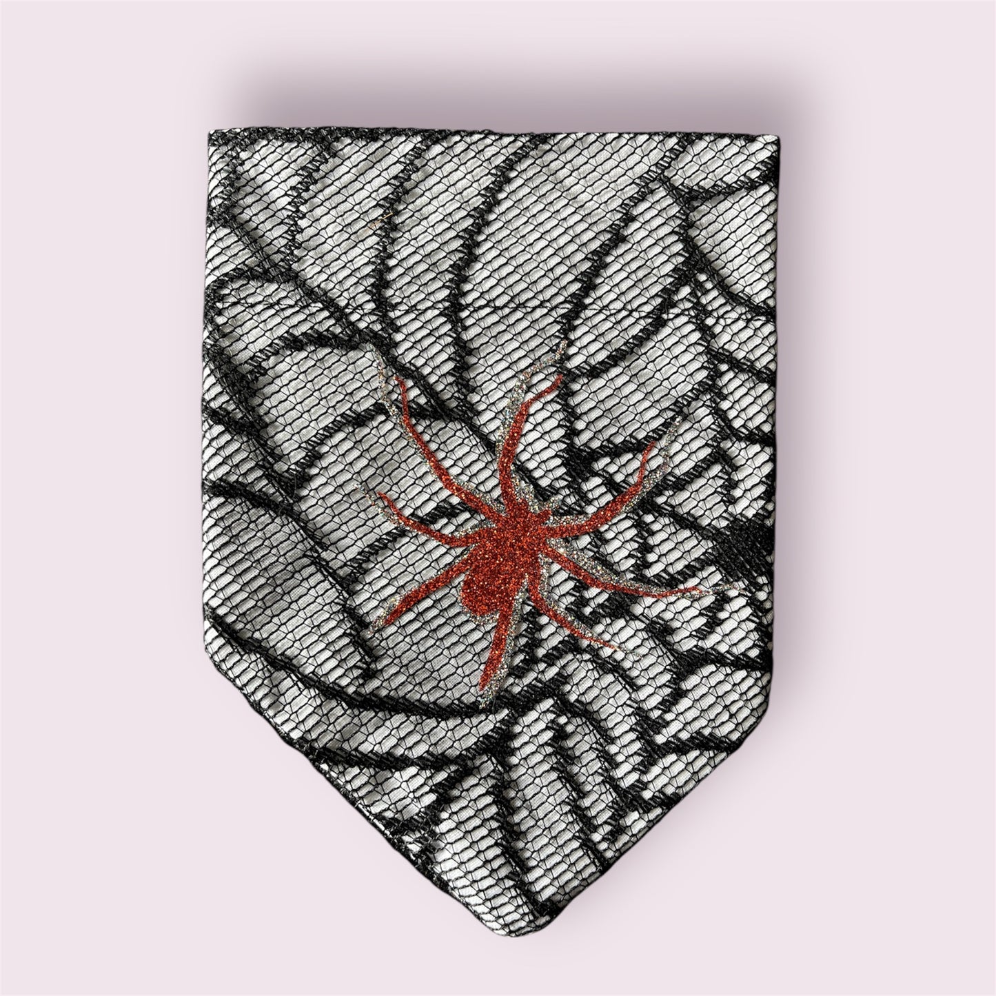 Spiders